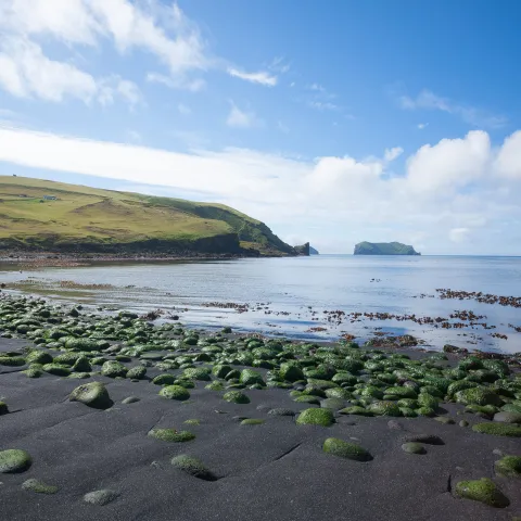 View of the beach on Vestmannaeyjar island during the day